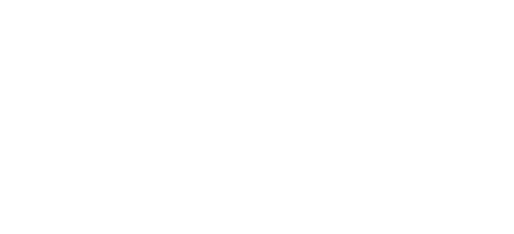 CVS Medya